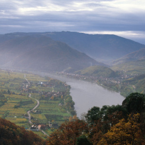 Wachau